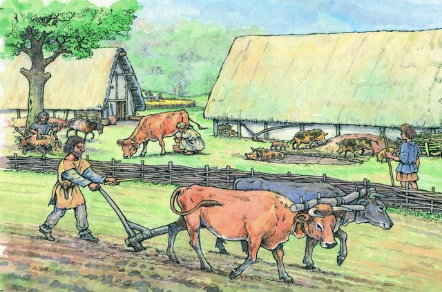 Eerste boeren landbouw in Nederland