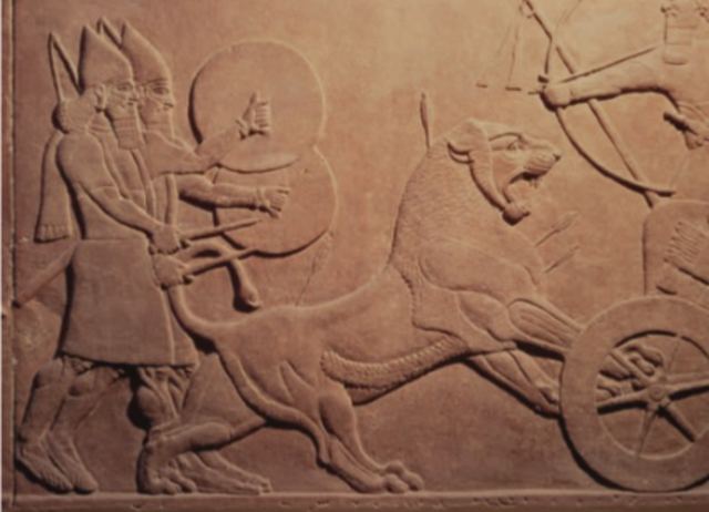 Ashurbanipal II Killing Lions, Assyria