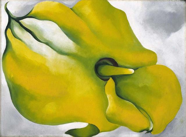 Yellow Calla