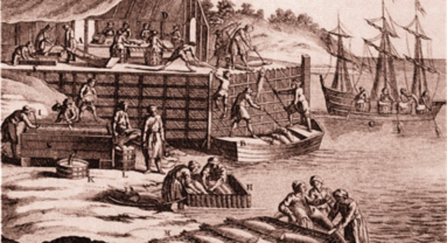 La pêche à la morue.