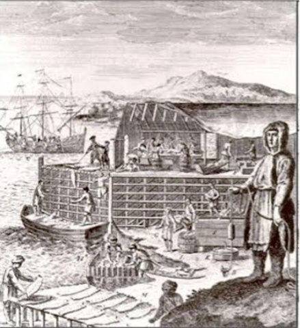 Le début des pêcheries