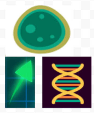 borkovation life creation