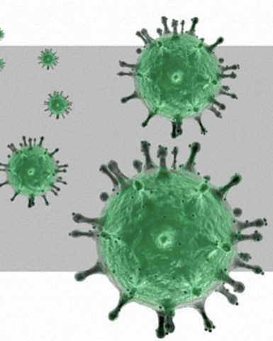 Both China and HK are hit by the pneumonia-like Sars virus