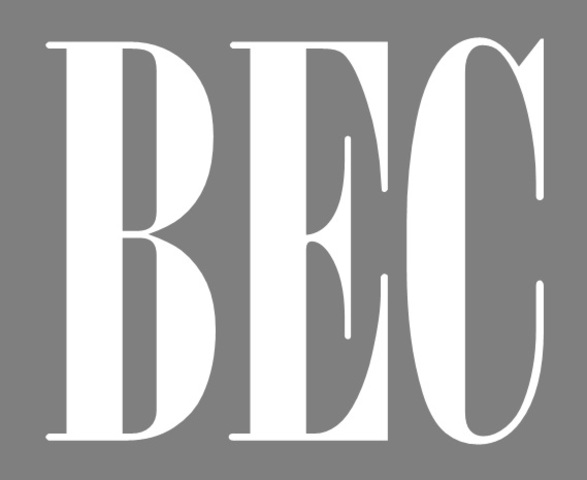 The Broadcasting Industry