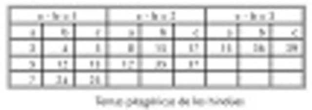 Civilización Hindú