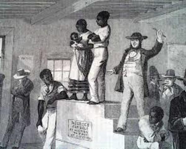 The First African Slaves!