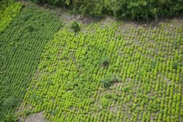 punto de inflexión y quiebre del narcotráfico.