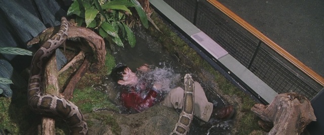 Dudley’s eleventh birthday - Trip to the zoo