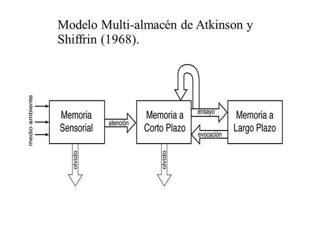 Atkinson y Shiffrin