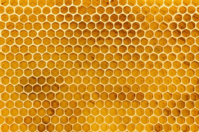 Android Honeycomb