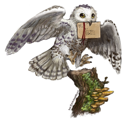 Hagrid buys Harry his first owl