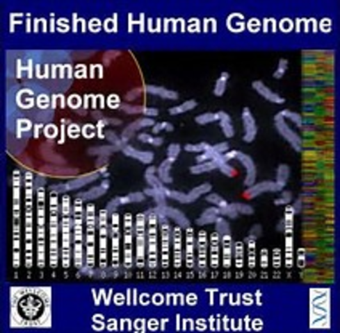 Human Genome