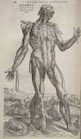 Andreas Vesalius published On the Fabric of the Human Body.