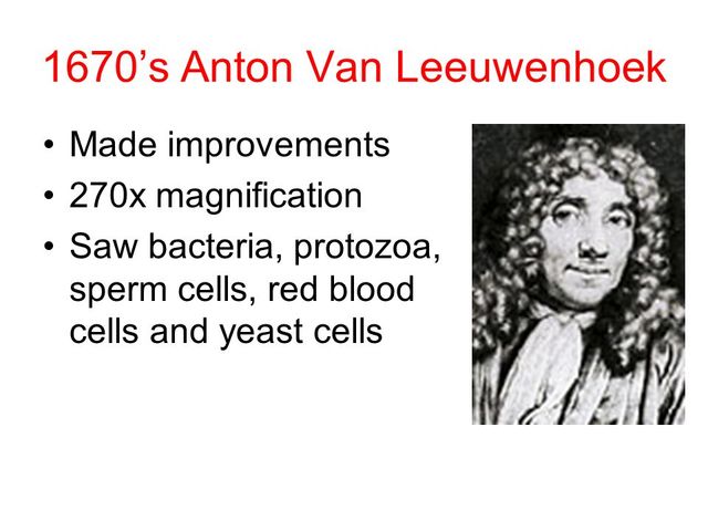 when anton van saw red blood cells for the first time