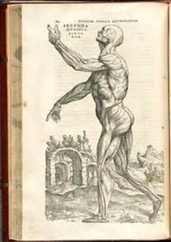 Andreas Vesalius published On the Fabric of the Human Body-detailing dissection of human bodies