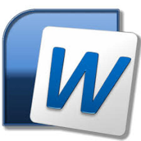 MS WORD