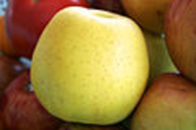 Golden Delicious Apple Adopted as State Fruit