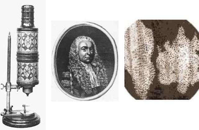 Christopher Cock y Robert Hooke