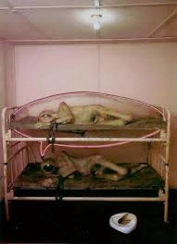 The State Hospital by Edward Kienholz