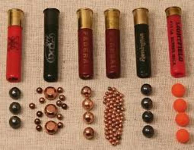 Shotgun Ammo