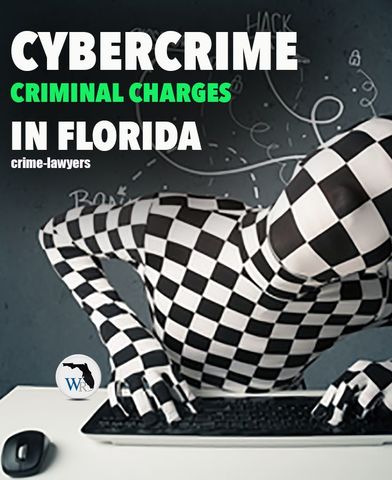 Florida Computer Crimes Act.