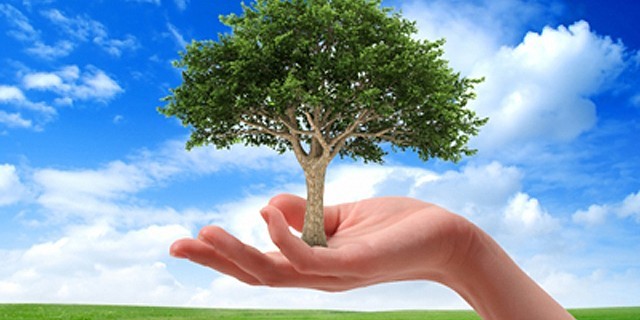 περιβαλλοντικές δραστηριότητες