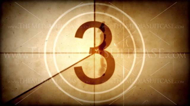 THE EUROPEAN FILM IMPORT