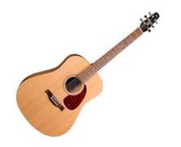 The Modern Day Acoustic Guitar