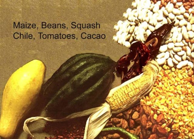 Mesoamerica: Beginning of New World agriculture