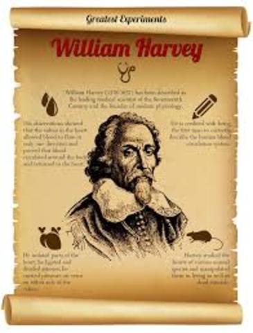william harvey showed that the heart acted as a pump to circulate blood throuhout the body