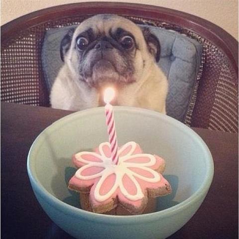 Τα πρώτα μας γενέθλια