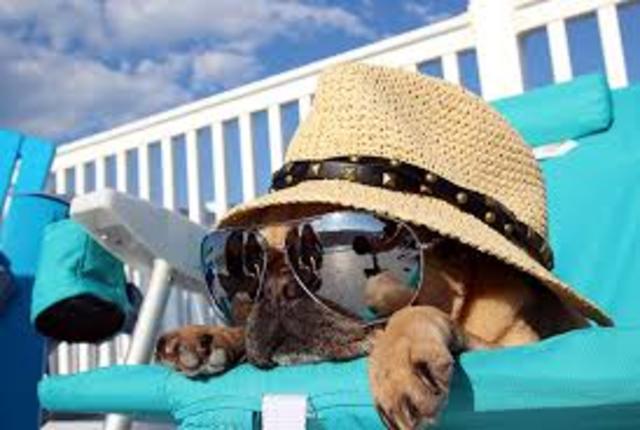 Καλοκαιρι στο νησί