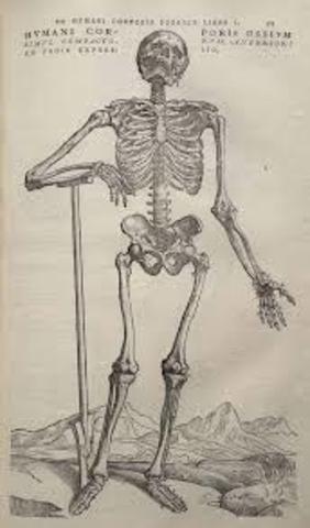 Andreas Vesalius published On the Fabric of the Human Body-dealing dissection of human bodies