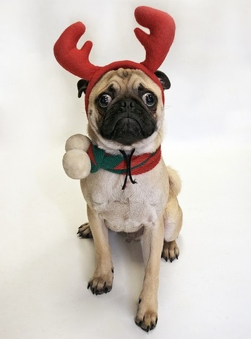 τα 2α μας Χριστούγεννα