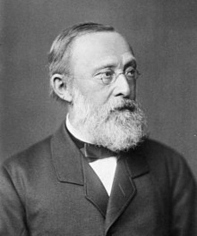 Rudolf Virchow (1821-1902)