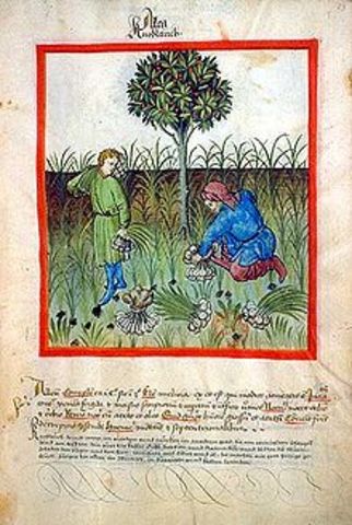 "Tacuinum Sanitatis"