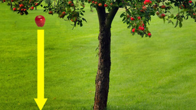 Isaac Newton published his law of gravity