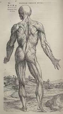 Andreas Vesalius published On The Fabric of The Human Body- detailing dissection of the human bodies