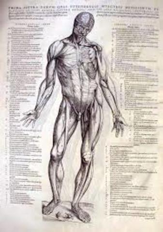 andreas vesalius published on the fabric of the human body - detailing dissection of human bodies