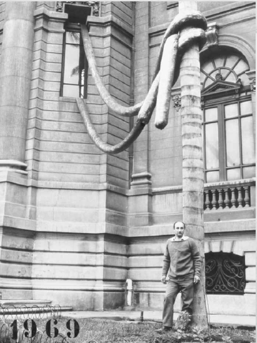 cuerpos blandos. Juan Pablo Langlois Vicuña