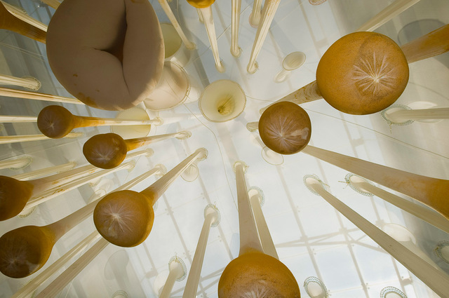 Ernesto Neto's "CanoeKeneJaguarPataLamp"