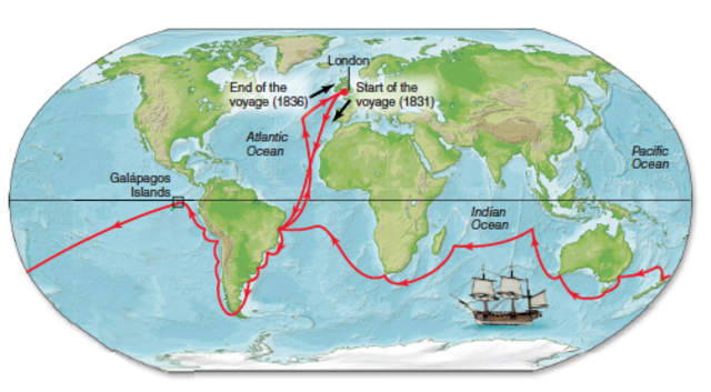 The Voyage of the HMS Beagle