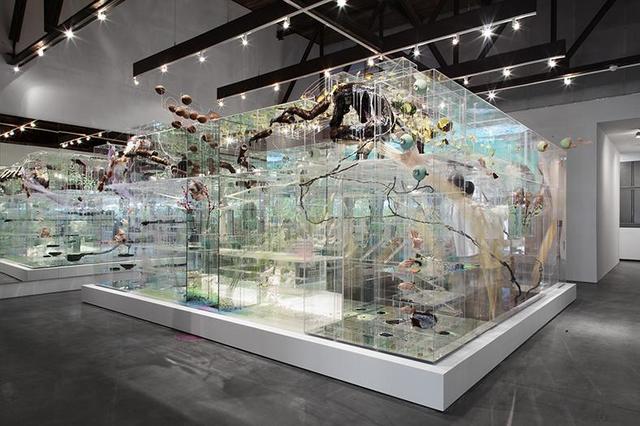 David Altmejd's Installations