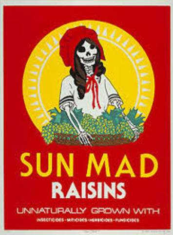 Sun Mad