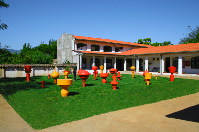 FLOR DE PATIO. Cristián Salineros