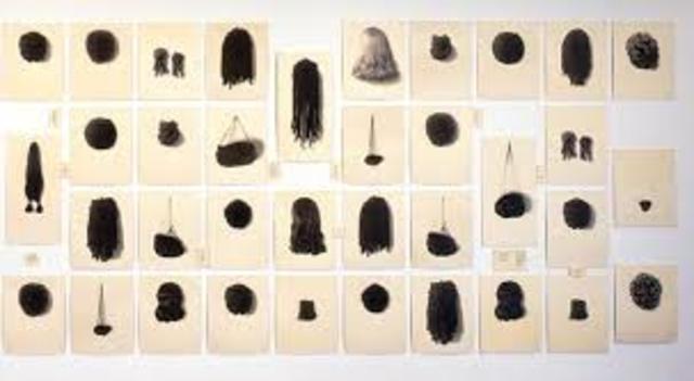 Wigs - Lorna Simpson