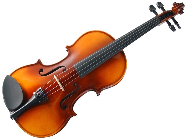 Violin