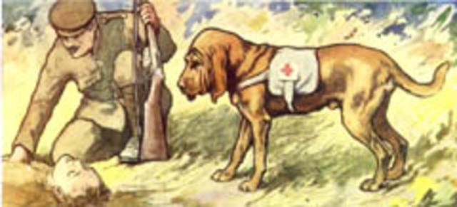 eerste diersoort die nu nog bestaat