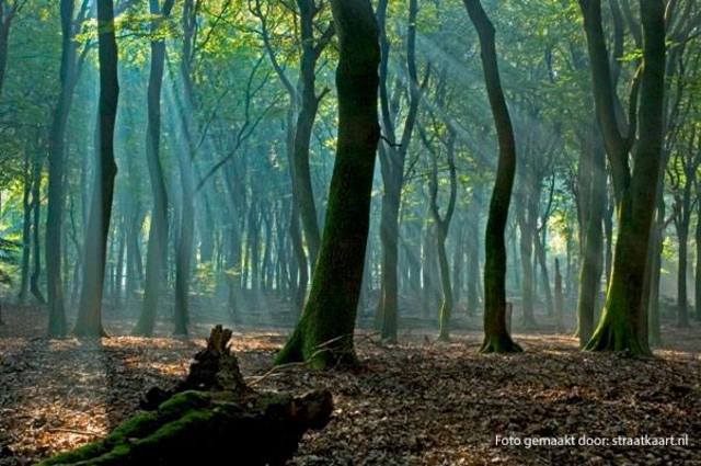 zuid en oost nederland was bedekt
