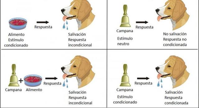 Condicionamiento Clasico - PAVLOV